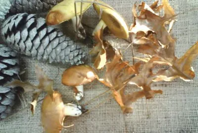 פאזל של fotos caseras de cosas comunes