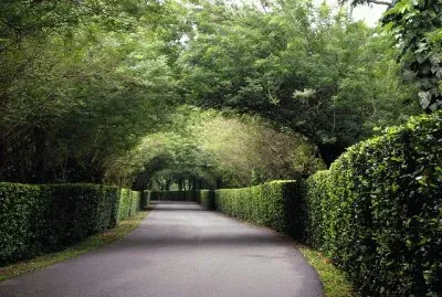 פאזל של Belleza de la RegiÃ³n de UrabÃ¡