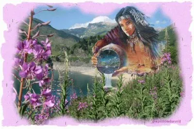elcheyenne13200