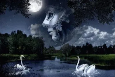 imagenes jigsaw puzzle