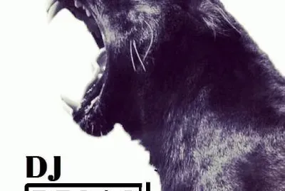 פאזל של entretenido