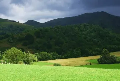 Francia