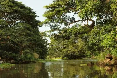 Isletas de Granada. Nicaragua