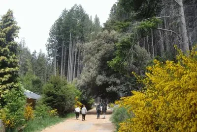Isla Victoria. NeuquÃ©n. Argentina