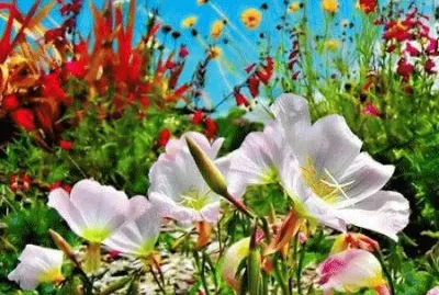 flores