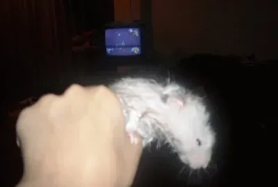 nooooo