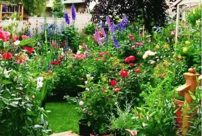 summer-104 jigsaw puzzle