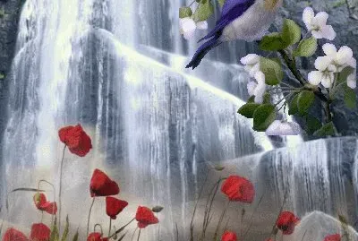 imagenes jigsaw puzzle