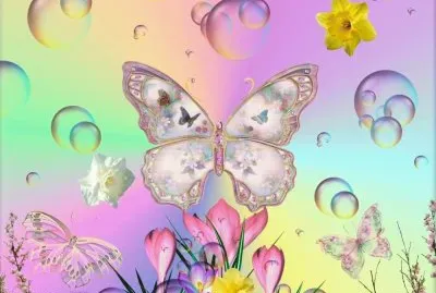 mariposas