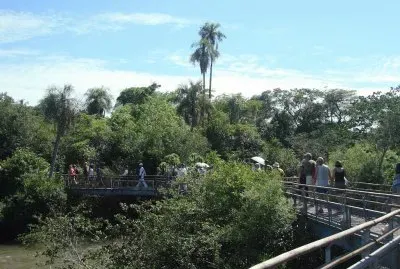 PN IguazÃº. Misiones. Argentina