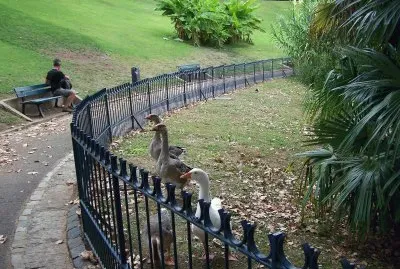 BÃ©ziers parc jigsaw puzzle