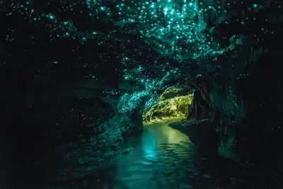 Cuevas Waitomo. Waikato. Nueva Zelanda