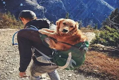 :)))))