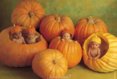 boccioli jigsaw puzzle