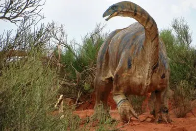 En el Sendero del TriÃ¡sico. La Rioja. Argentina