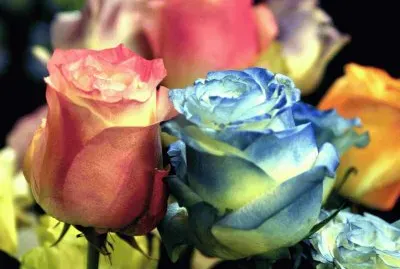 huztresdxcvbgztrdfxcv