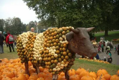 KÃ¼rbis jigsaw puzzle