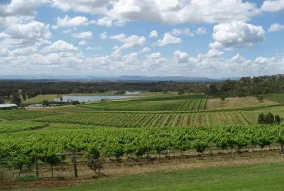 Hunter Valley Wine country