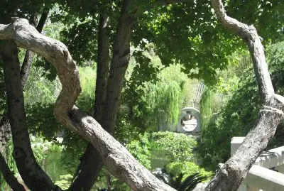 Japanese Garden, Sydney