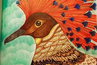 פאזל של Colored Bird