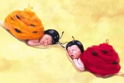 boccioli jigsaw puzzle