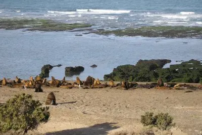 En la PenÃ­nsula de ValdÃ©s. Chubut. Argentina