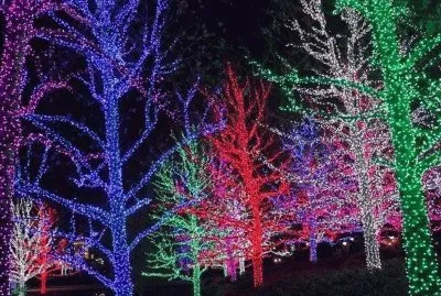 6vb7vc4x5ce56vb67nm89ui