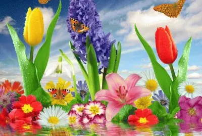 7v67c5vvc67vv567vccv