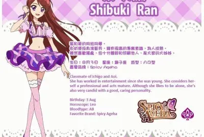 פאזל של è˜­