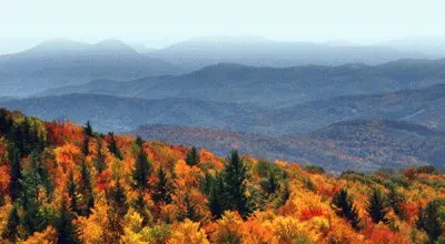 פאזל של nature