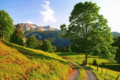 Paisagem harmoniosa jigsaw puzzle