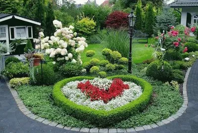 פאזל של nature