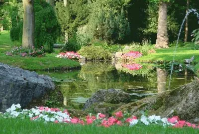 paisaje jigsaw puzzle