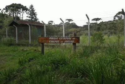 Parque Estadual - Campos do JordÃ£o - SP jigsaw puzzle