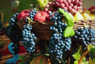 ÃŸ00ÃŸÃŸÃŸ000ÃŸ0