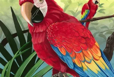 Parrot
