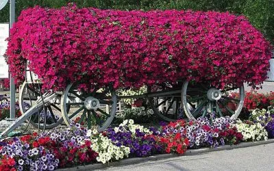 flores jigsaw puzzle