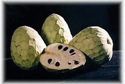 Chirimoyas jigsaw puzzle