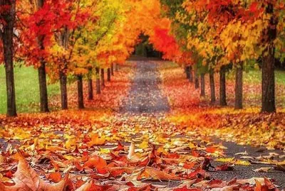 622 jigsaw puzzle