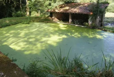 Lavoir jigsaw puzzle