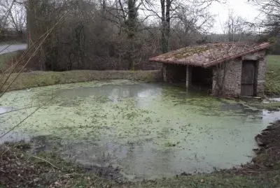 lavoir 1