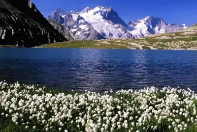 פאזל של Natureza