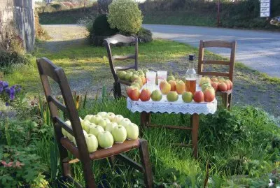 automne jigsaw puzzle