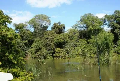 En la Provincia de Corrientes. Argentina