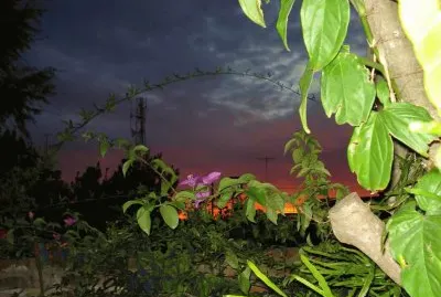 Atardecer en Centeno. Santa Fe. Argentina