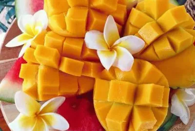 Fruit jigsaw puzzle