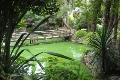 En La Plata. Buenos Aires. Argentina jigsaw puzzle