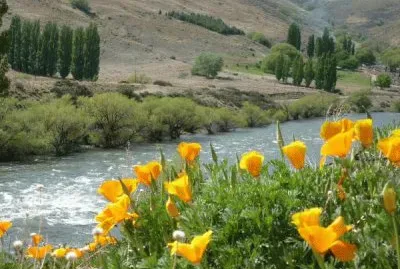 פאזל של AluminÃ©. NeuquÃ©n. Argentina