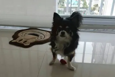 Nick na sacada de seu Apartamento