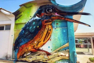 PAJARO jigsaw puzzle